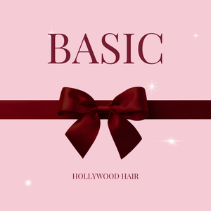 BASIC Package Hair Extensions